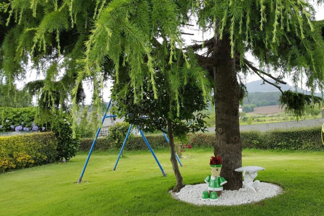 Photo of Outdoor in Pinera