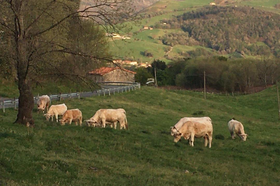 Photo of Outdoor in Colindres