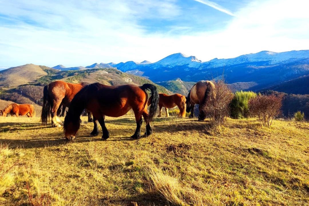Photo of Others in Cardano de Abajo