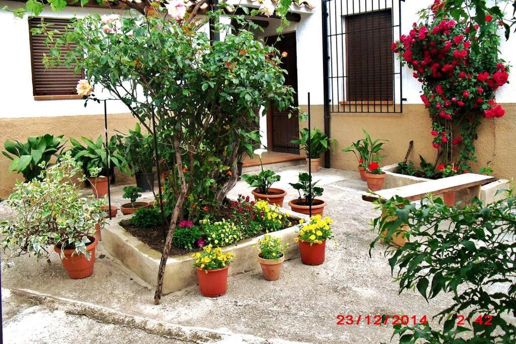 Photo of Others in Majada Carrasca
