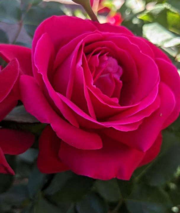 Photo of Others in Murchas