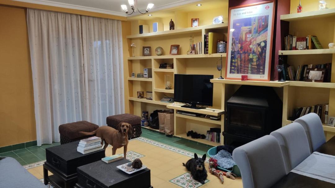 Photo of Livingroom in Palmanova