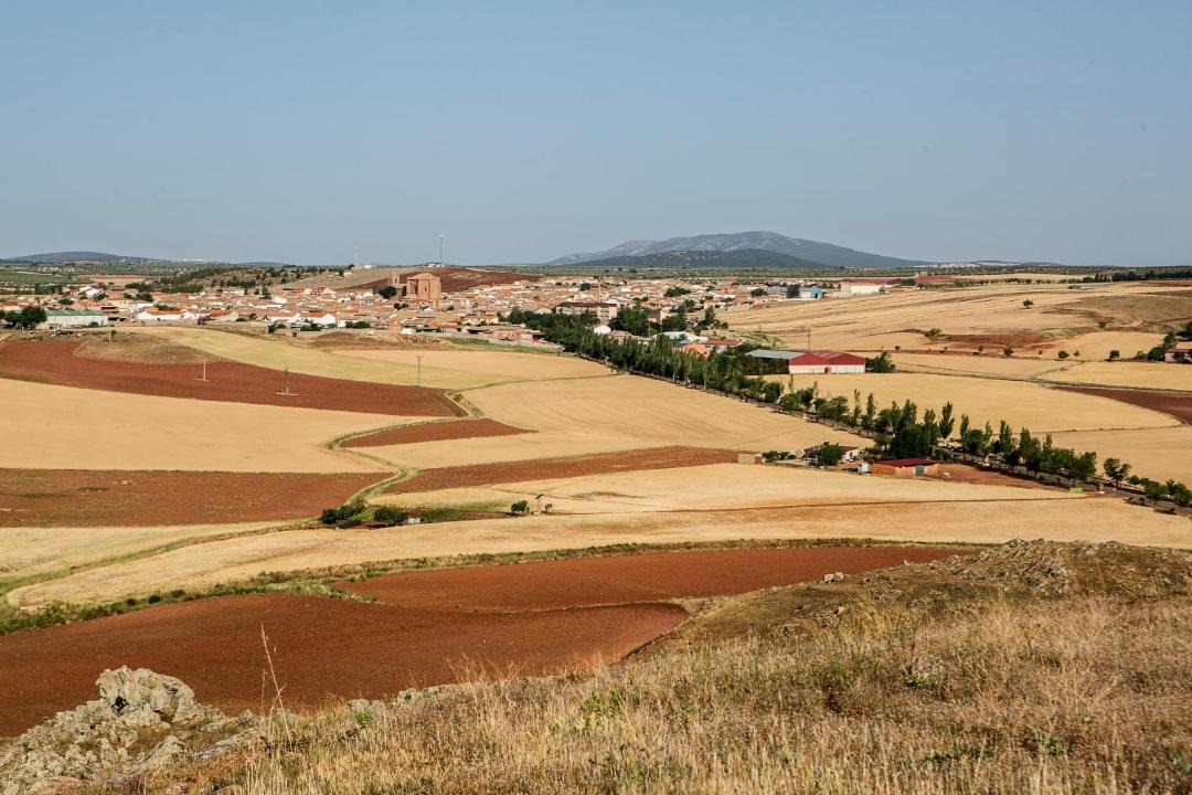 Photo of Others in Torre de Juan Abad
