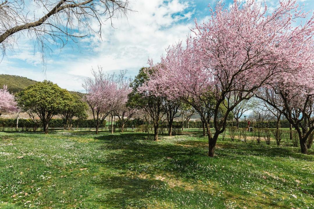 Photo of Outdoor in Sarratillo