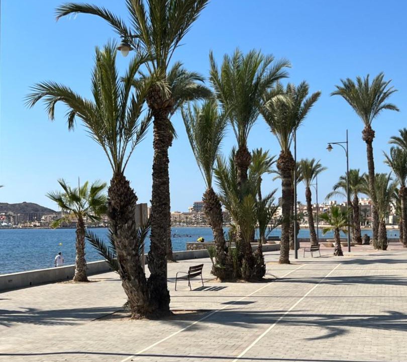 Photo of Others in Puerto de Mazarron
