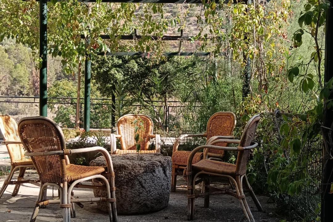 Photo of Patio Balcony in Bedmar y Garciez