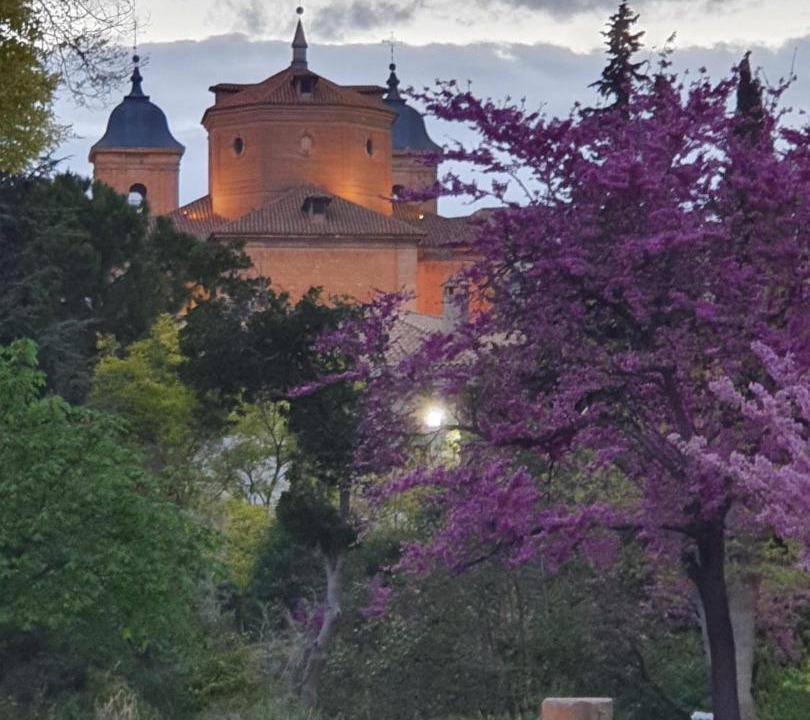 Photo of Others in Elche De La Sierra