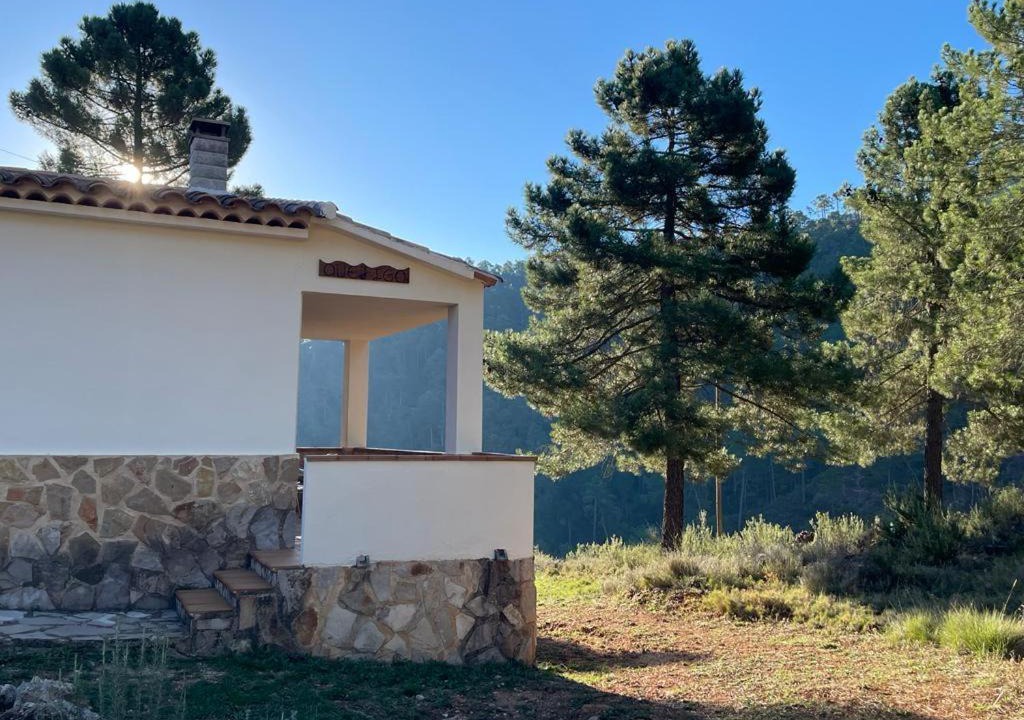 Photo of Buildings in Molinicos