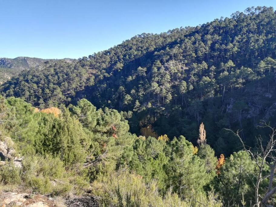 Photo of Outdoor in Molinicos