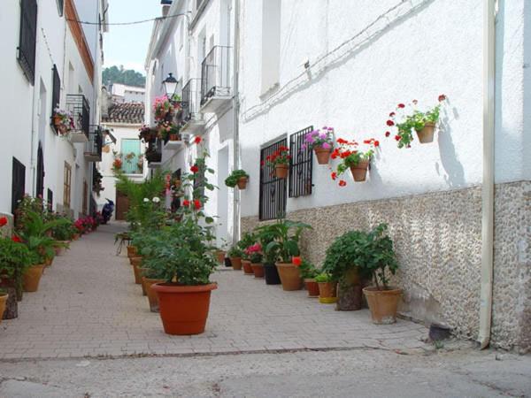 Photo of Others in Hornos