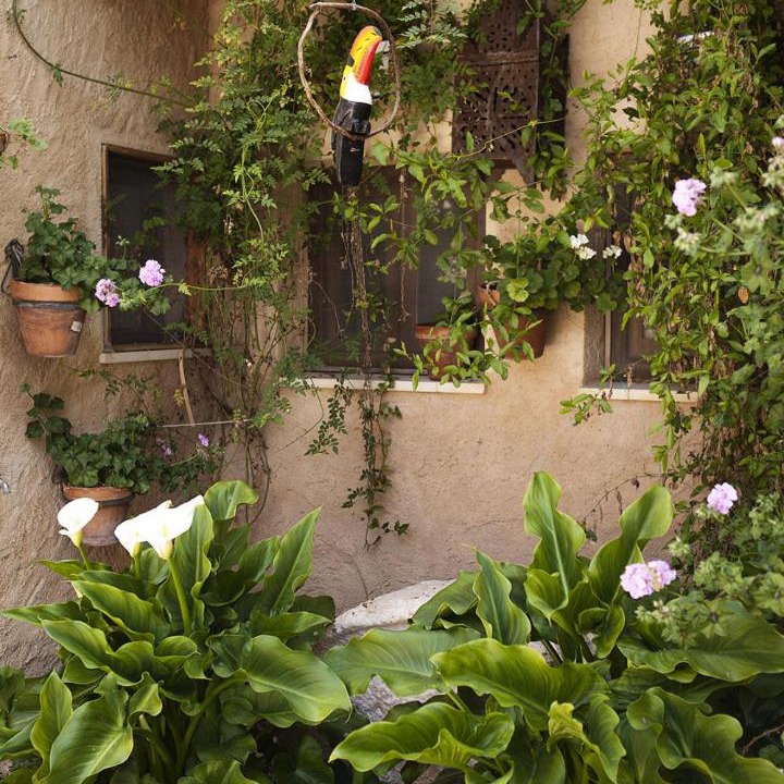 Photo of Others in El Simarro