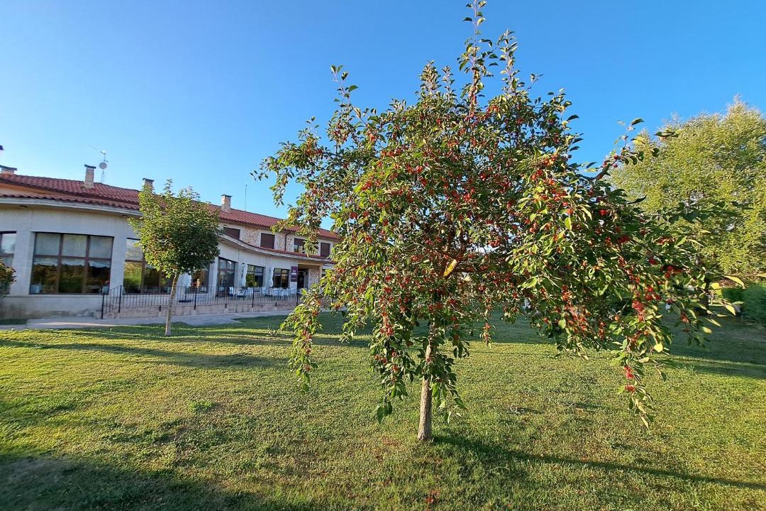 Photo of Others in Caleruega