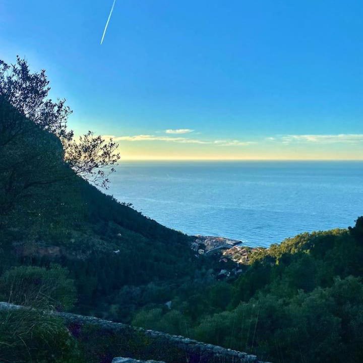 Photo of Outdoor in Valldemossa
