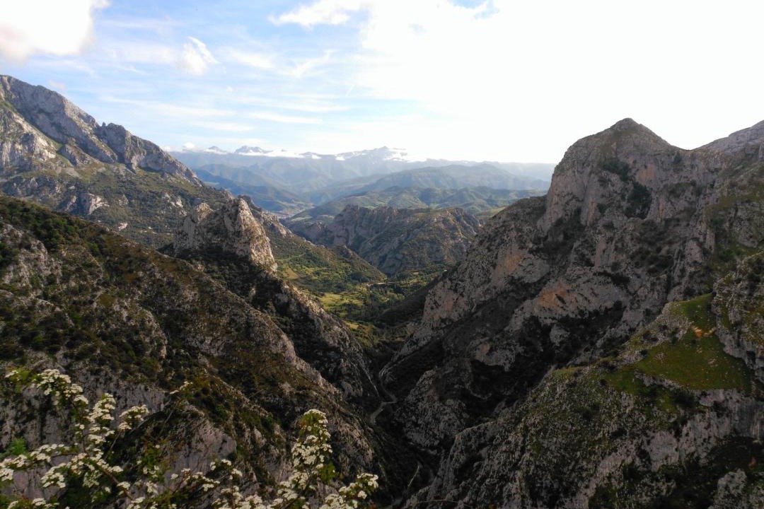 Photo of Others in Buelles