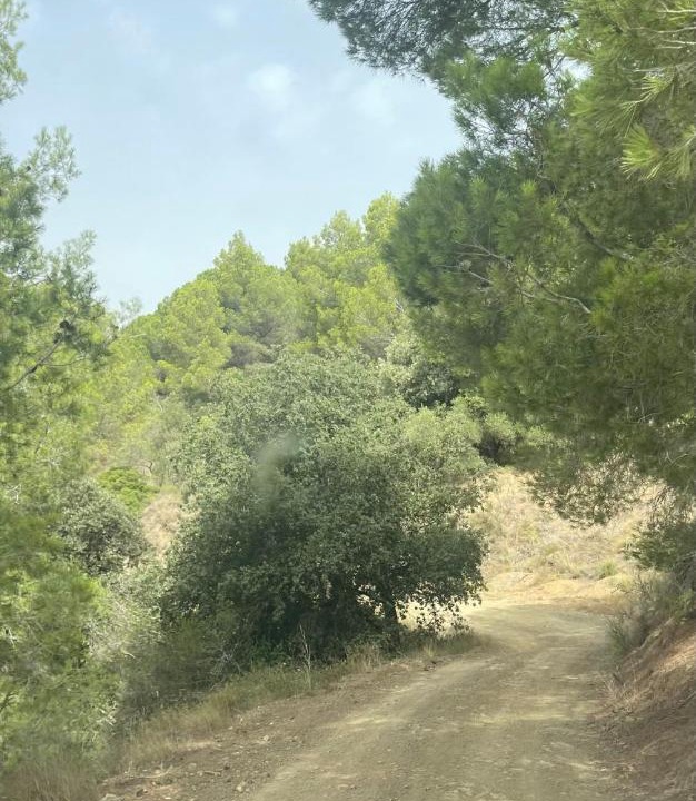 Photo of Outdoor in Almoster