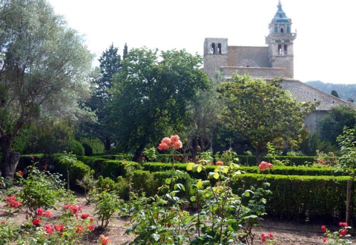 Photo of Others in S'Arxiduc
