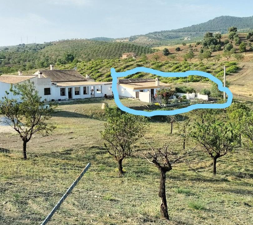 Photo of Outdoor in Velez Rubio