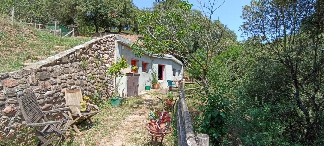 Photo of Others in Sant Pere de Vilamajor