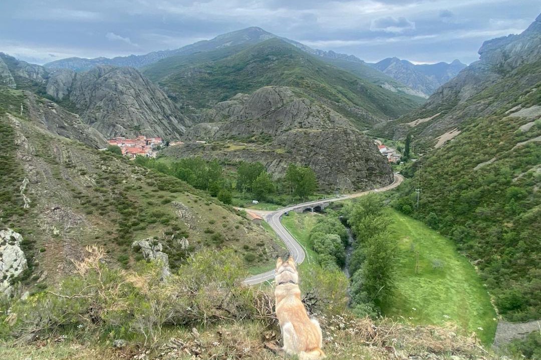 Photo of Others in Portilla de la Reina