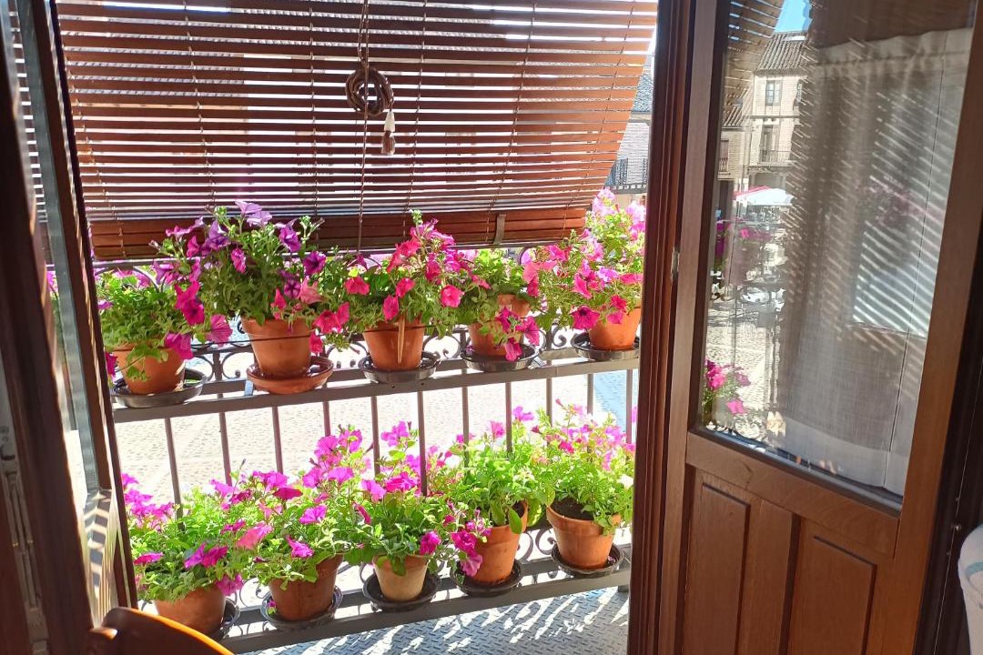 Photo of Patio Balcony in Saldana