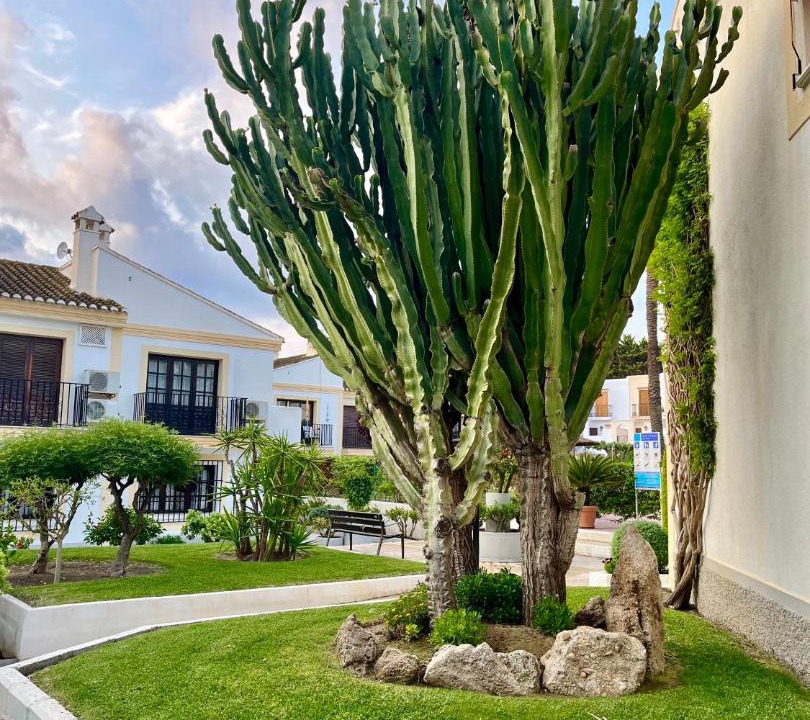 Photo of Outdoor in Puerto Rey