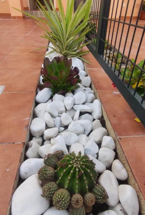 Photo of Others in San Juan de los Terreros