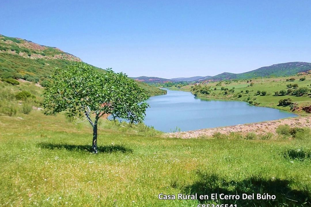 Photo of Others in Piedrabuena