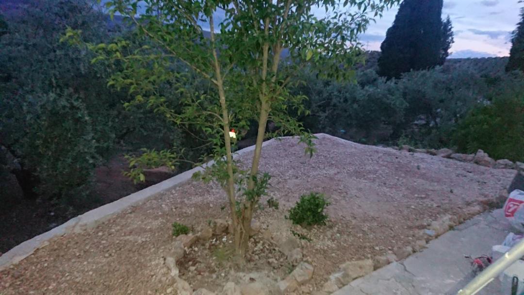 Photo of Buildings in Iznatoraf