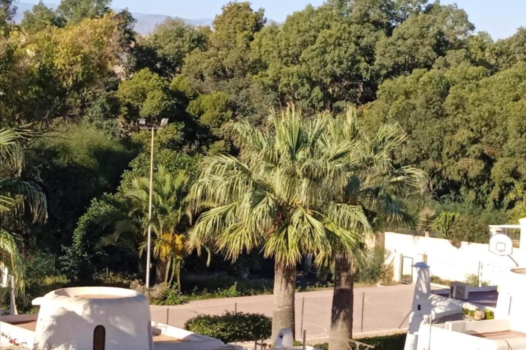 Photo of Others in Villaricos