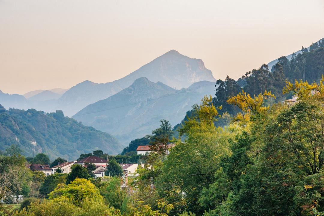 Photo of Others in Cangas de Onis