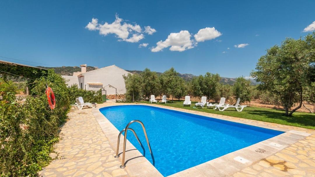 Photo of Outdoor in Pozo Alcon
