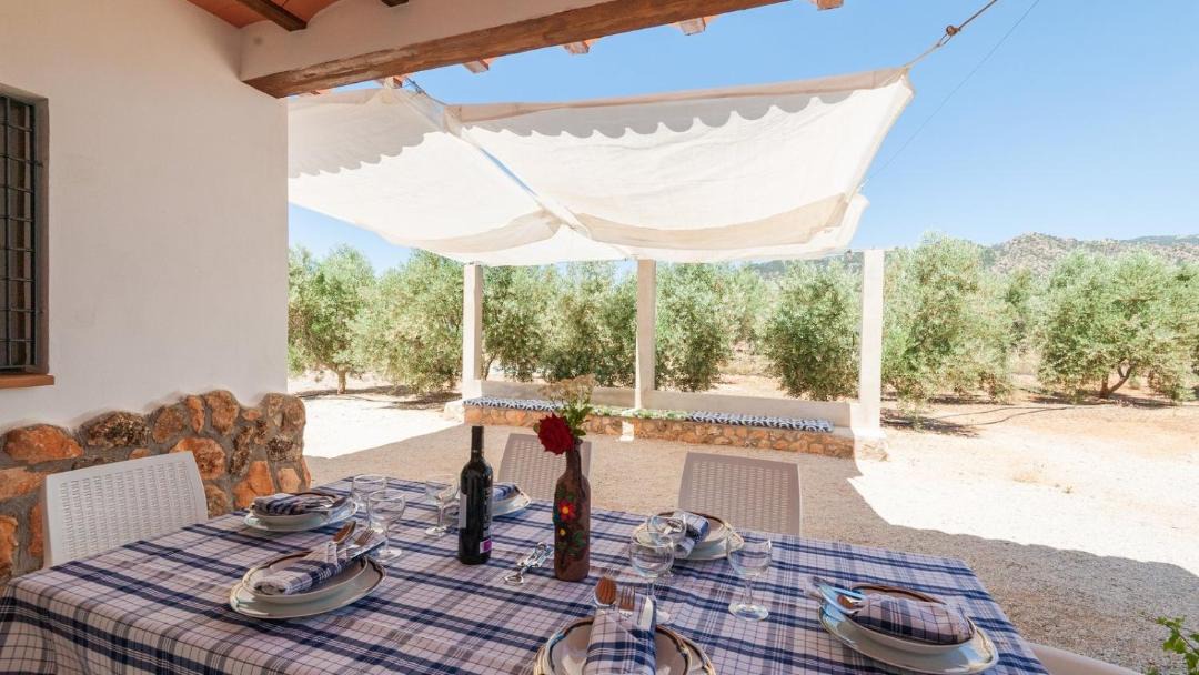Photo of Patio Balcony in Pozo Alcon