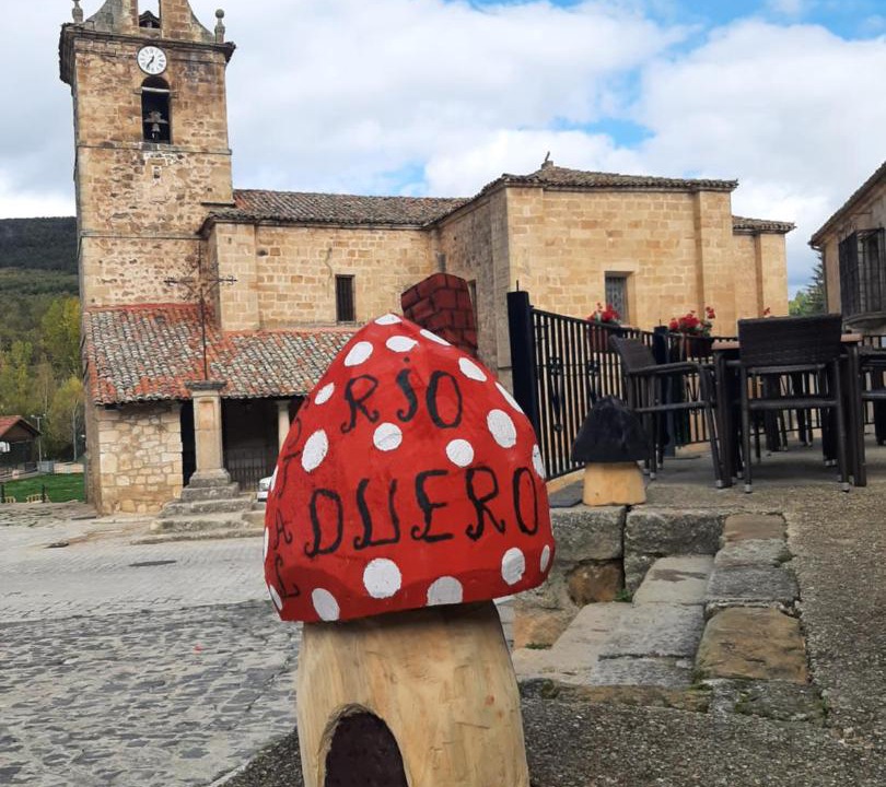 Photo of Others in Molinos de Duero
