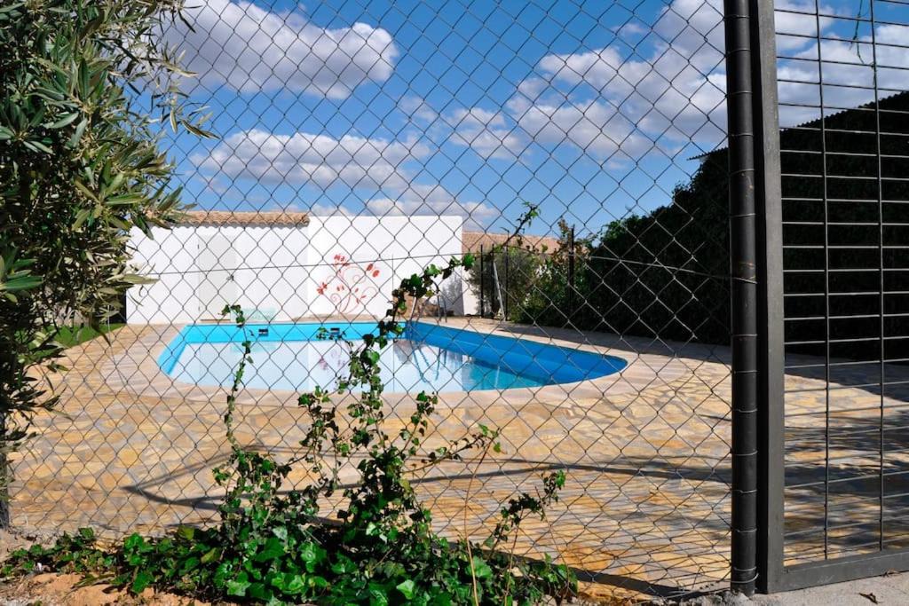 Photo of Outdoor in Pozo Alcon