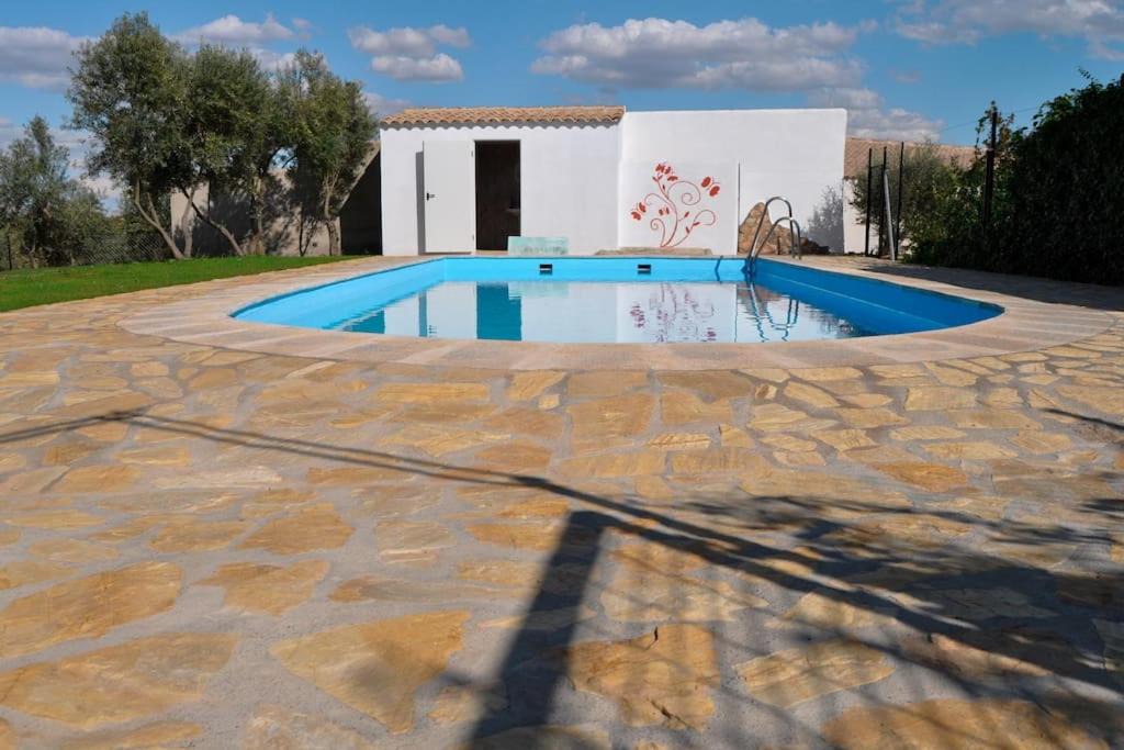 Photo of Outdoor in Pozo Alcon
