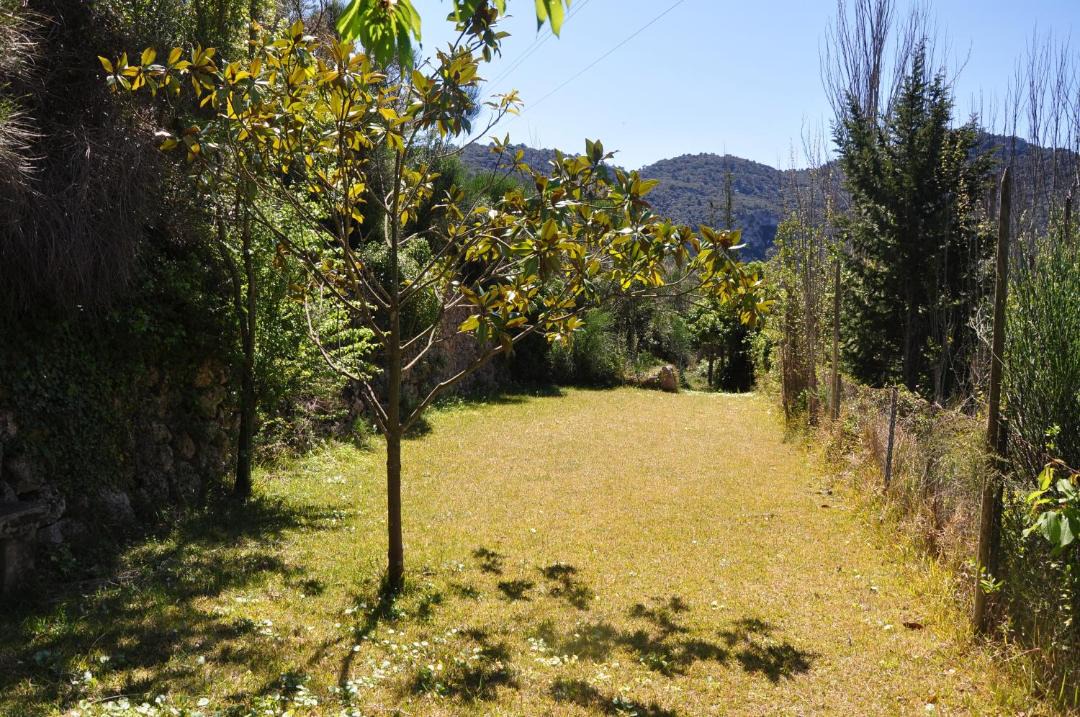 Photo of Outdoor in Valldemossa