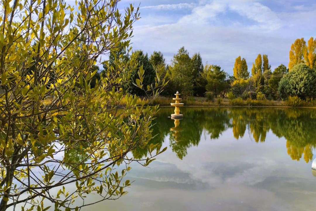 Photo of Outdoor in El Burgo de Osma