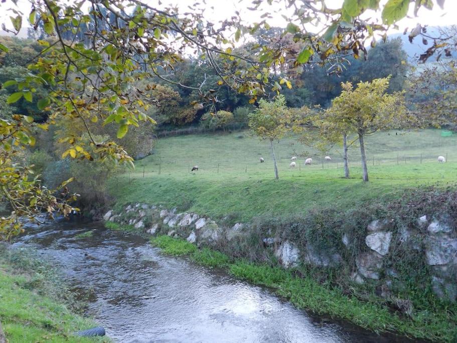 Photo of Outdoor in Treceno