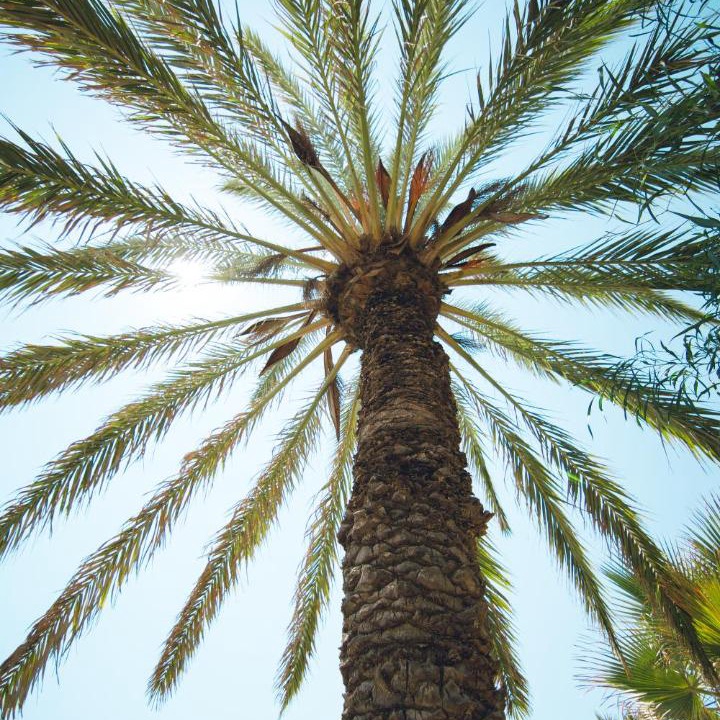 Photo of Outdoor in Cala Panizo