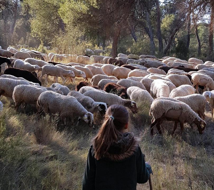 Photo of Others in Altura