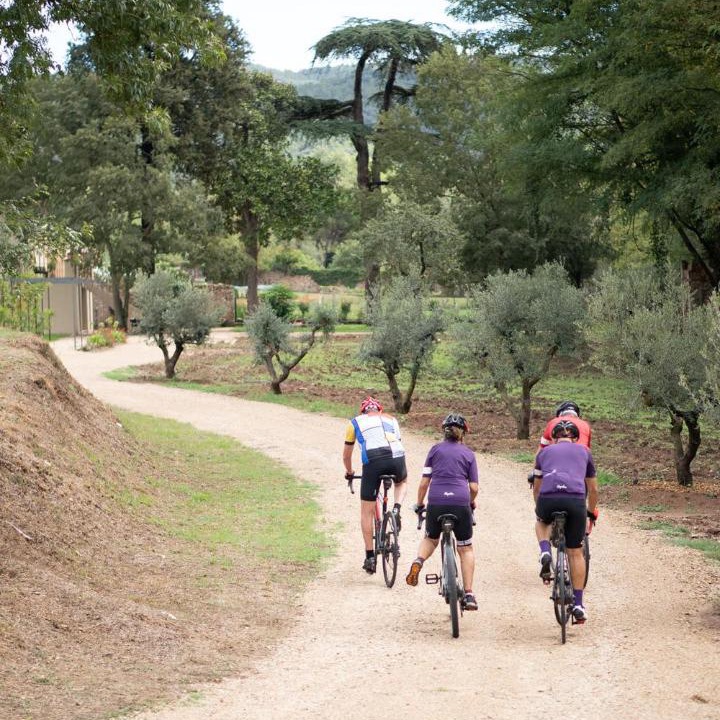 Photo of Others in Girona
