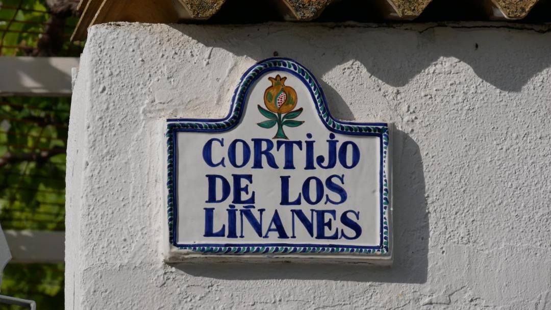 Photo of Buildings in Moclin