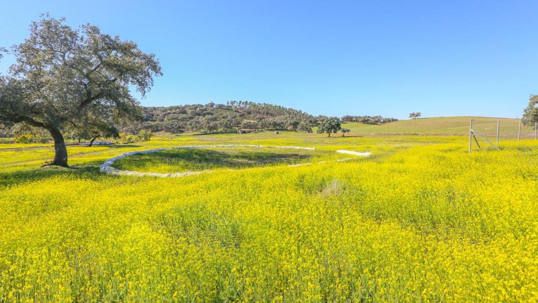 Photo of Outdoor in Higuera de la Sierra