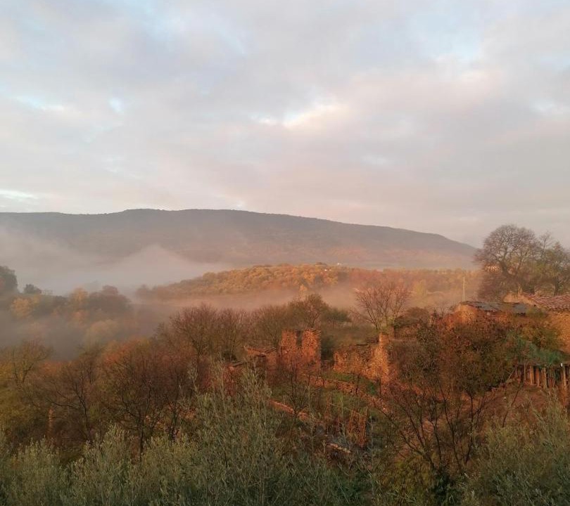 Photo of Others in Tartareu