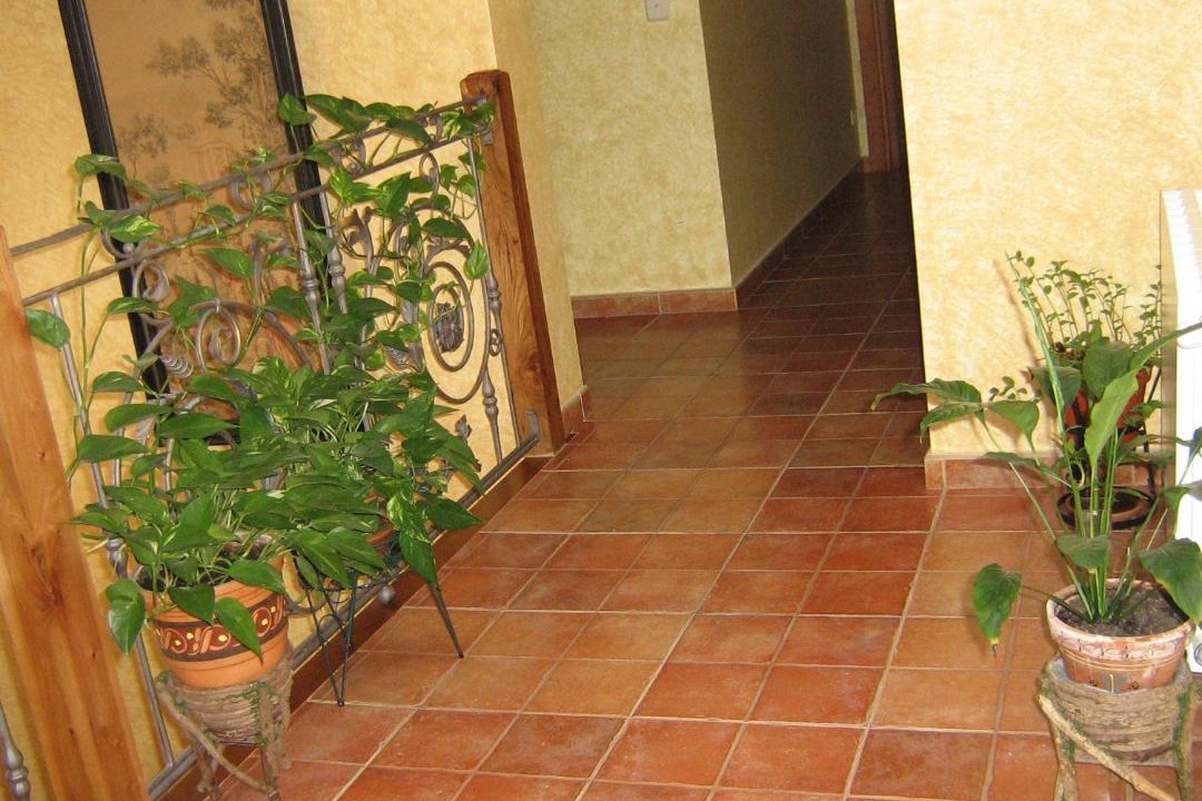 Photo of Others in Cedillo de la Torre