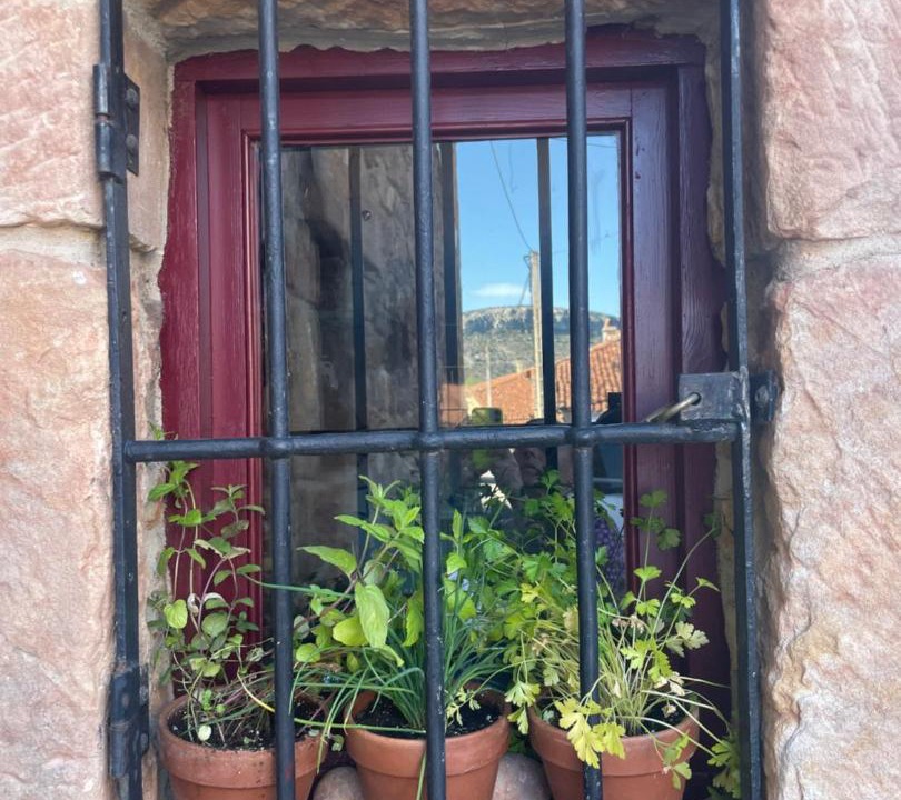 Photo of Patio Balcony in Herreros