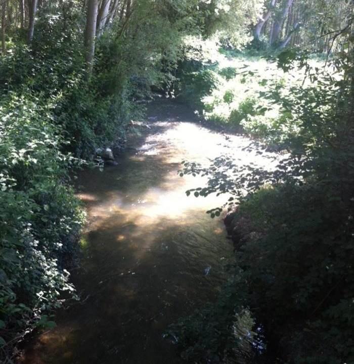 Photo of Outdoor in Torrellas