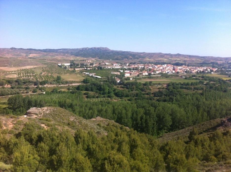 Photo of Outdoor in Torrellas