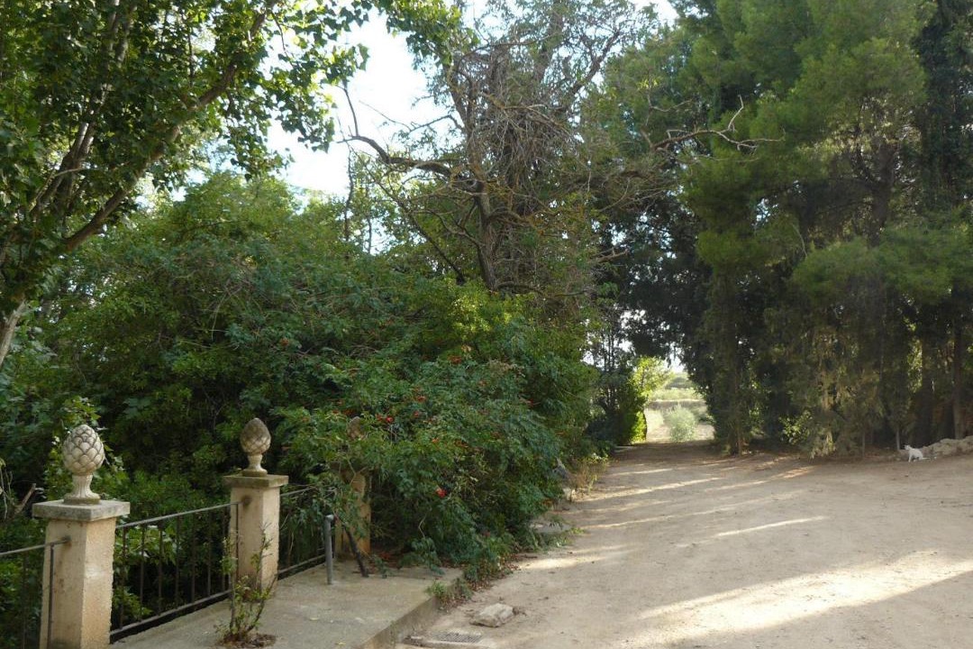 Photo of Others in Ainzon
