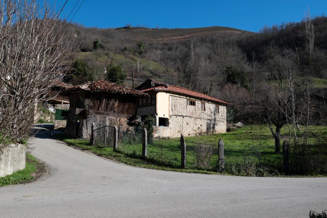Photo of Buildings in Lena
